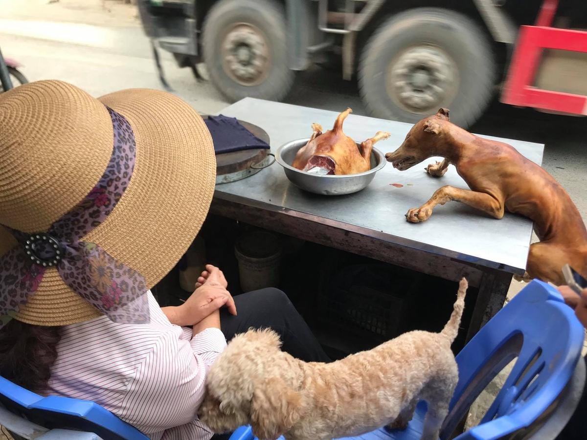 Tiểu thương lên tiếng trước tin Liên minh bảo vệ chó châu Á đề nghị Việt Nam cấm giết mổ chó mèo: ‘Nếu không có người mua chúng tôi sẽ nghỉ ngay’ Ảnh 12