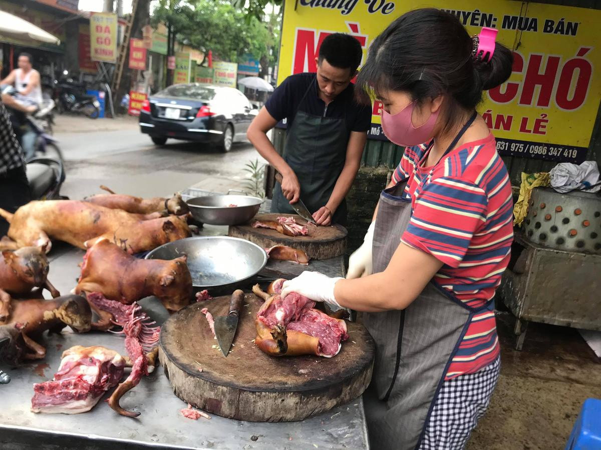 Tiểu thương lên tiếng trước tin Liên minh bảo vệ chó châu Á đề nghị Việt Nam cấm giết mổ chó mèo: ‘Nếu không có người mua chúng tôi sẽ nghỉ ngay’ Ảnh 8