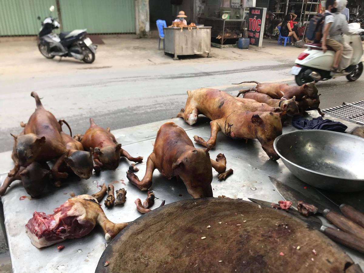 Tiểu thương lên tiếng trước tin Liên minh bảo vệ chó châu Á đề nghị Việt Nam cấm giết mổ chó mèo: ‘Nếu không có người mua chúng tôi sẽ nghỉ ngay’ Ảnh 9