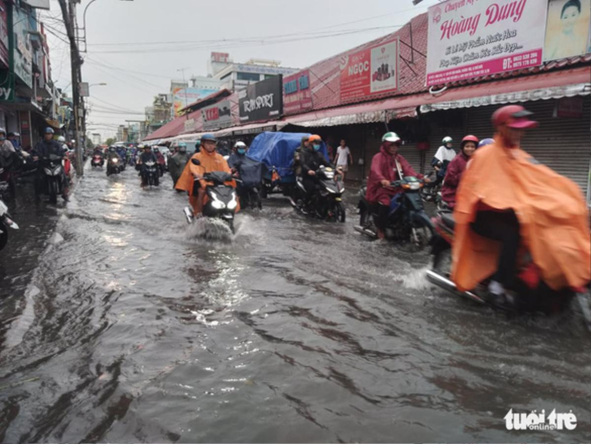 Mưa to kèm gió lớn tại TP.HCM làm ngập đường, cây bật gốc ngã ra đường Ảnh 1