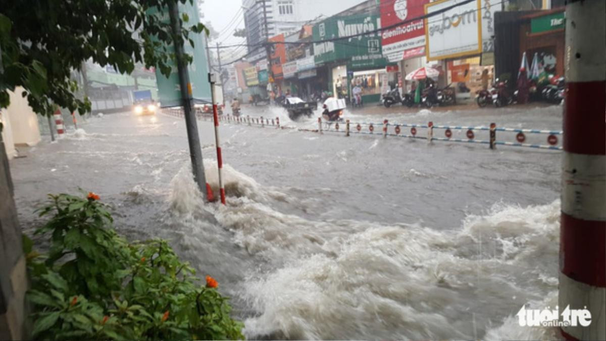 Mưa to kèm gió lớn tại TP.HCM làm ngập đường, cây bật gốc ngã ra đường Ảnh 2