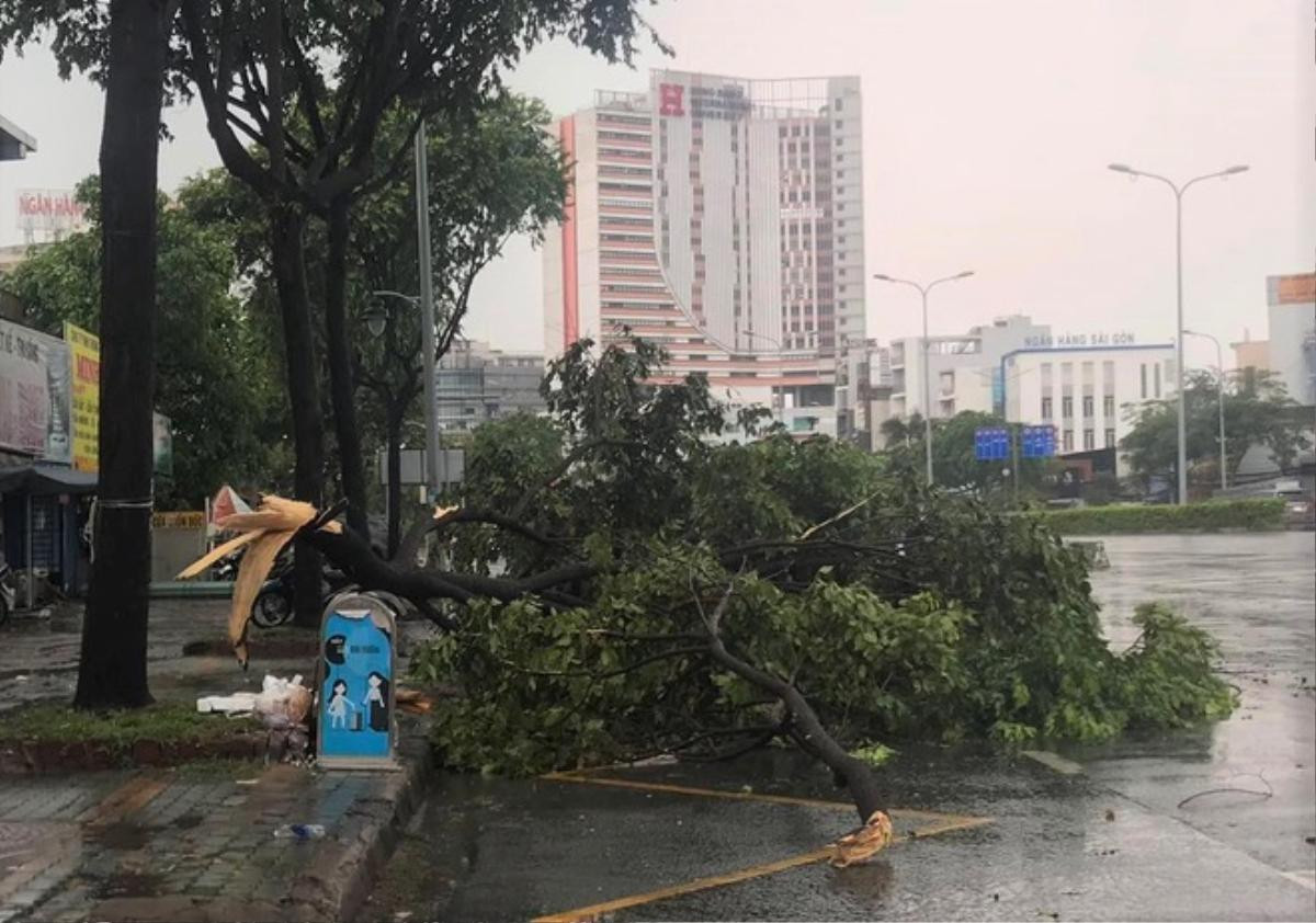 Mưa to kèm gió lớn tại TP.HCM làm ngập đường, cây bật gốc ngã ra đường Ảnh 4