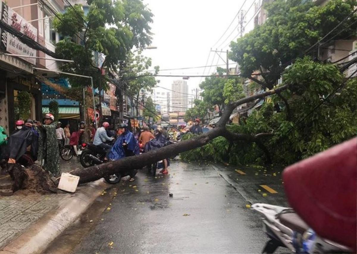 Mưa to kèm gió lớn tại TP.HCM làm ngập đường, cây bật gốc ngã ra đường Ảnh 3