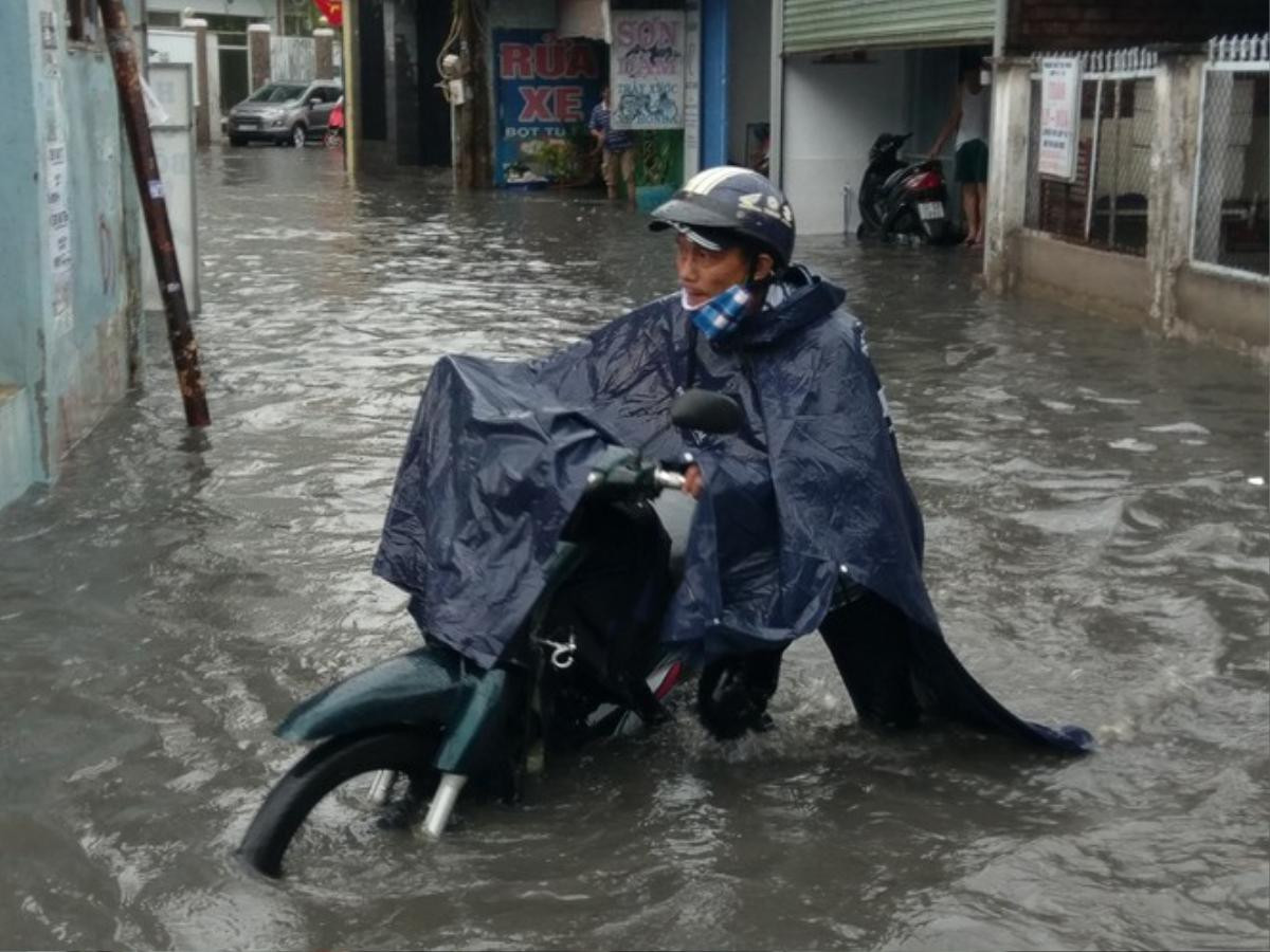 Mưa to kèm gió lớn tại TP.HCM làm ngập đường, cây bật gốc ngã ra đường Ảnh 6