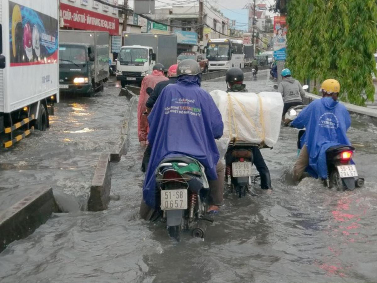 Mưa to kèm gió lớn tại TP.HCM làm ngập đường, cây bật gốc ngã ra đường Ảnh 5