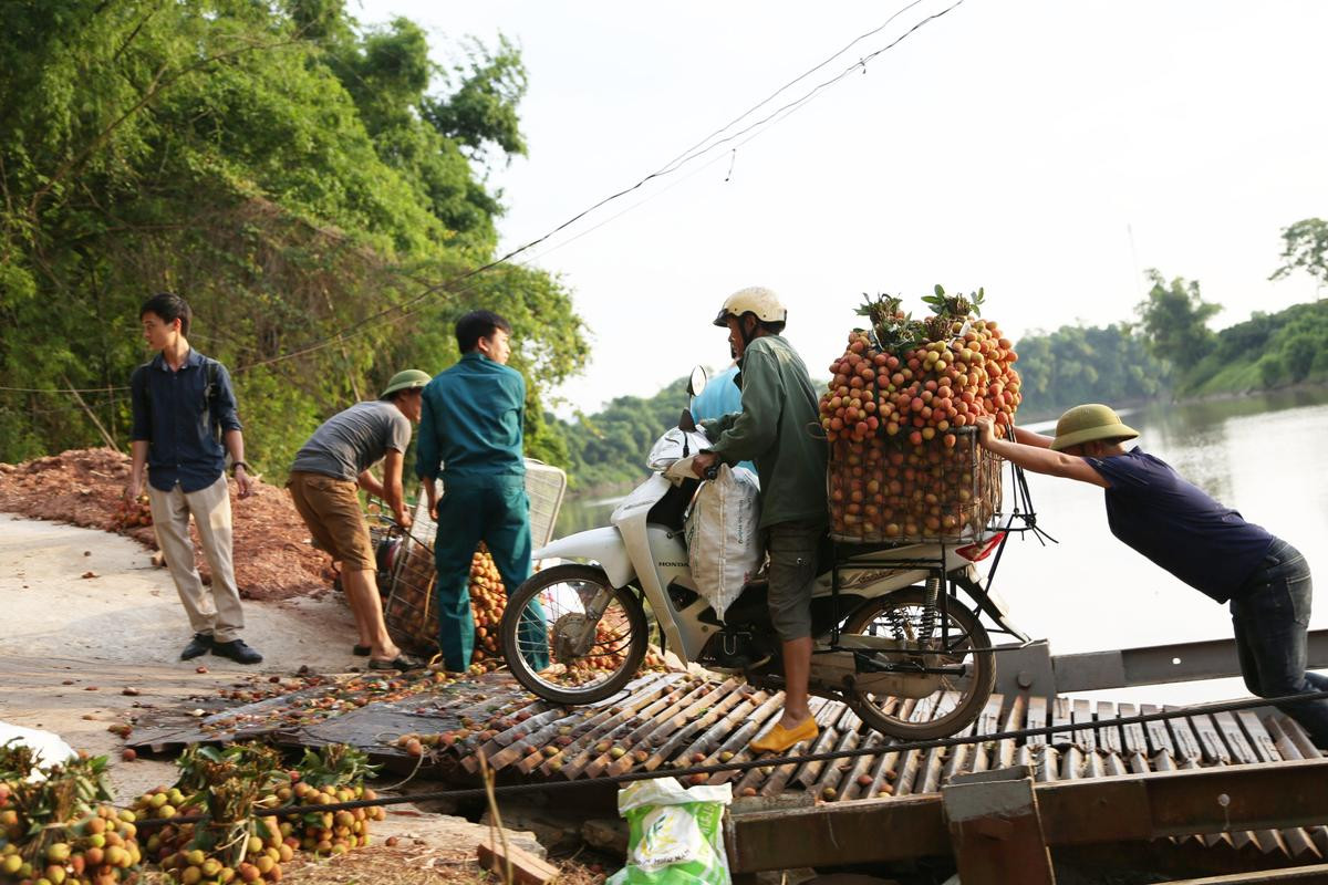 Dở khóc dở cười cảnh người dân vồ ếch, cắm đầu xuống sông khi chở vải qua cầu phao ‘tử thần’ Ảnh 8