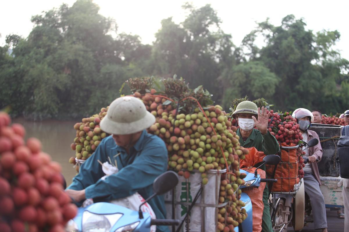 Dở khóc dở cười cảnh người dân vồ ếch, cắm đầu xuống sông khi chở vải qua cầu phao ‘tử thần’ Ảnh 2