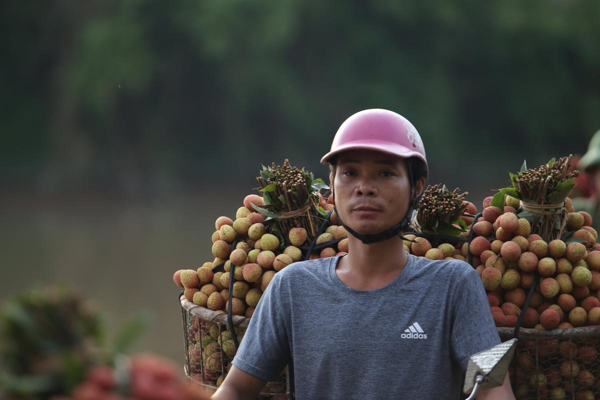 Dở khóc dở cười cảnh người dân vồ ếch, cắm đầu xuống sông khi chở vải qua cầu phao ‘tử thần’ Ảnh 13