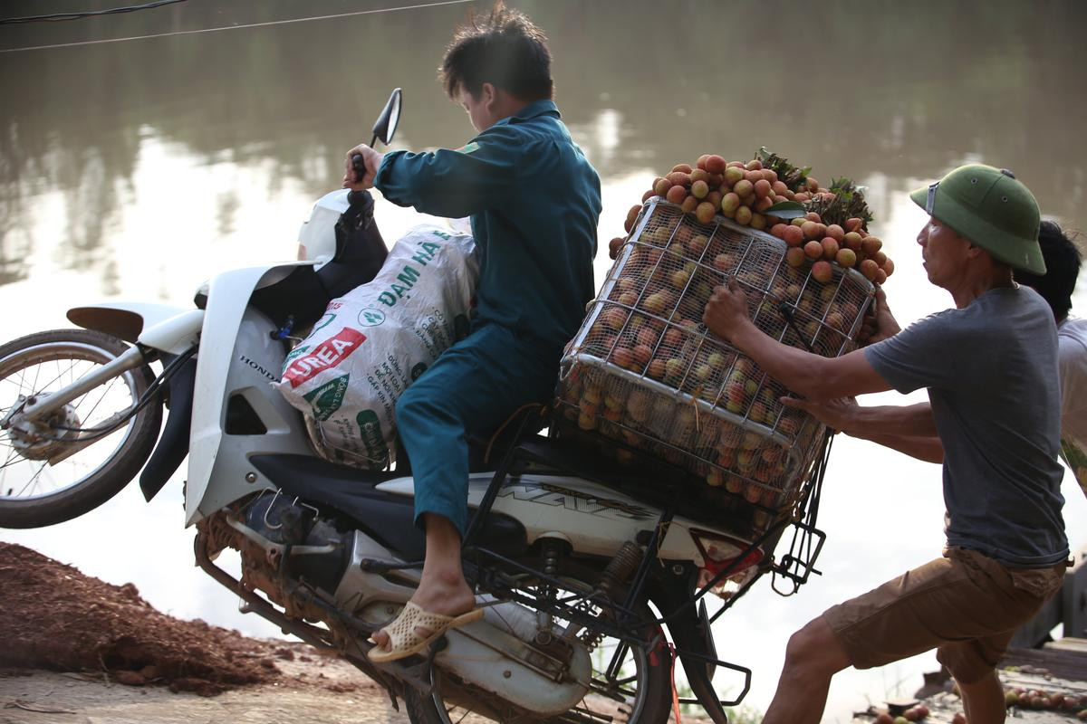 Dở khóc dở cười cảnh người dân vồ ếch, cắm đầu xuống sông khi chở vải qua cầu phao ‘tử thần’ Ảnh 15