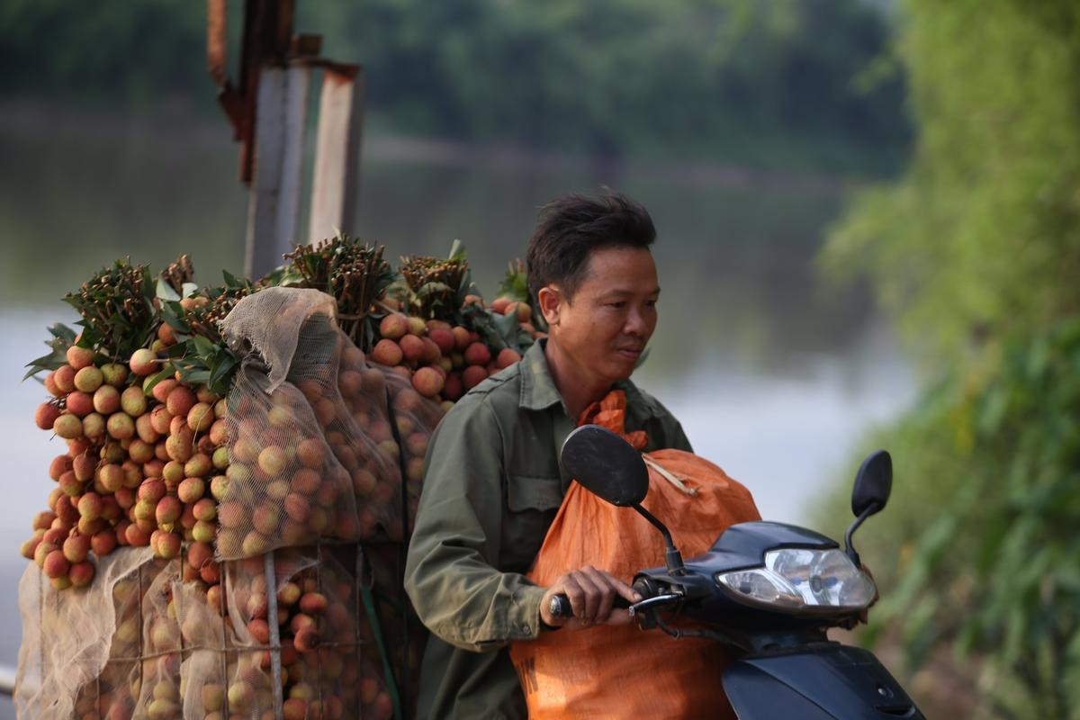 Dở khóc dở cười cảnh người dân vồ ếch, cắm đầu xuống sông khi chở vải qua cầu phao ‘tử thần’ Ảnh 14