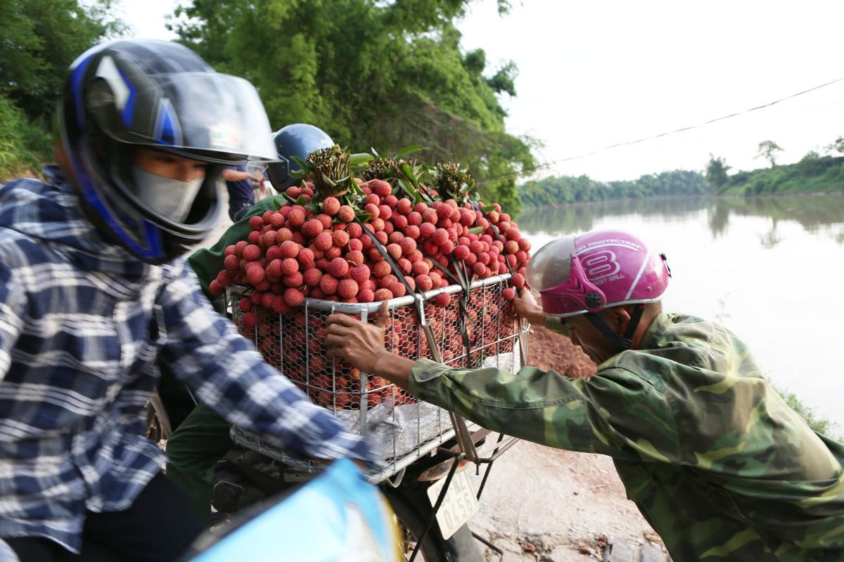 Dở khóc dở cười cảnh người dân vồ ếch, cắm đầu xuống sông khi chở vải qua cầu phao ‘tử thần’ Ảnh 12