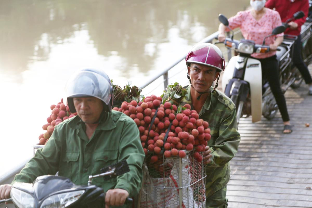 Dở khóc dở cười cảnh người dân vồ ếch, cắm đầu xuống sông khi chở vải qua cầu phao ‘tử thần’ Ảnh 11