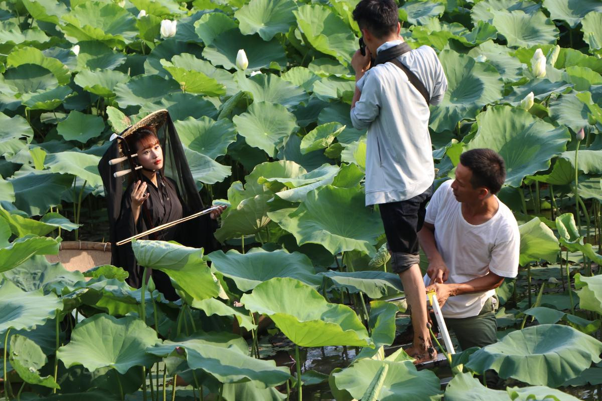 Rủ nhau đội nắng 40 độ C chụp ảnh bên hoa sen, mải mê đến nỗi suýt lật cả thuyền Ảnh 15