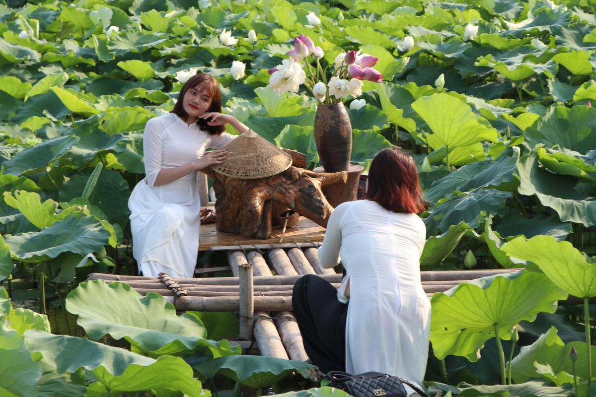 Rủ nhau đội nắng 40 độ C chụp ảnh bên hoa sen, mải mê đến nỗi suýt lật cả thuyền Ảnh 16