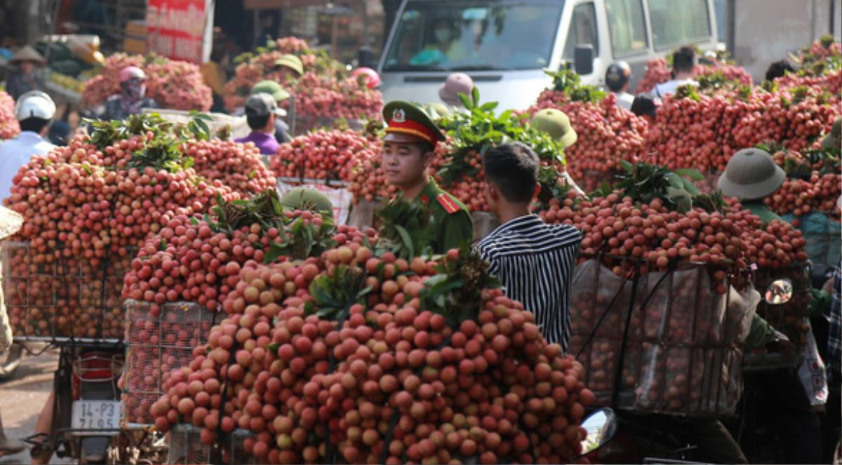 Thương lái Trung Quốc sang mua vải thiều ở Bắc Giang được cách ly 14 ngày ở khách sạn Ảnh 1