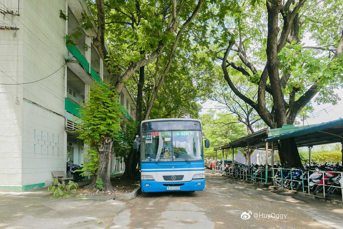 Khuôn viên xanh ngắt, mát rượi quanh năm tại ĐH Bách Khoa khiến bao sinh viên Sài Gòn mê mẩn Ảnh 2