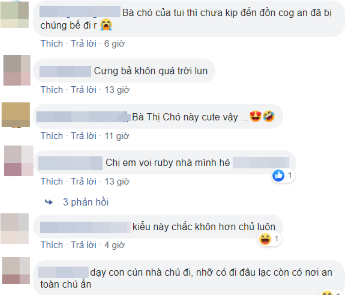 Dân mạng thích thú khi chứng kiến câu chuyện đi lạc của 'cô chó' thông minh, tự biết chạy đến đồn cảnh sát ngồi đợi chủ Ảnh 5