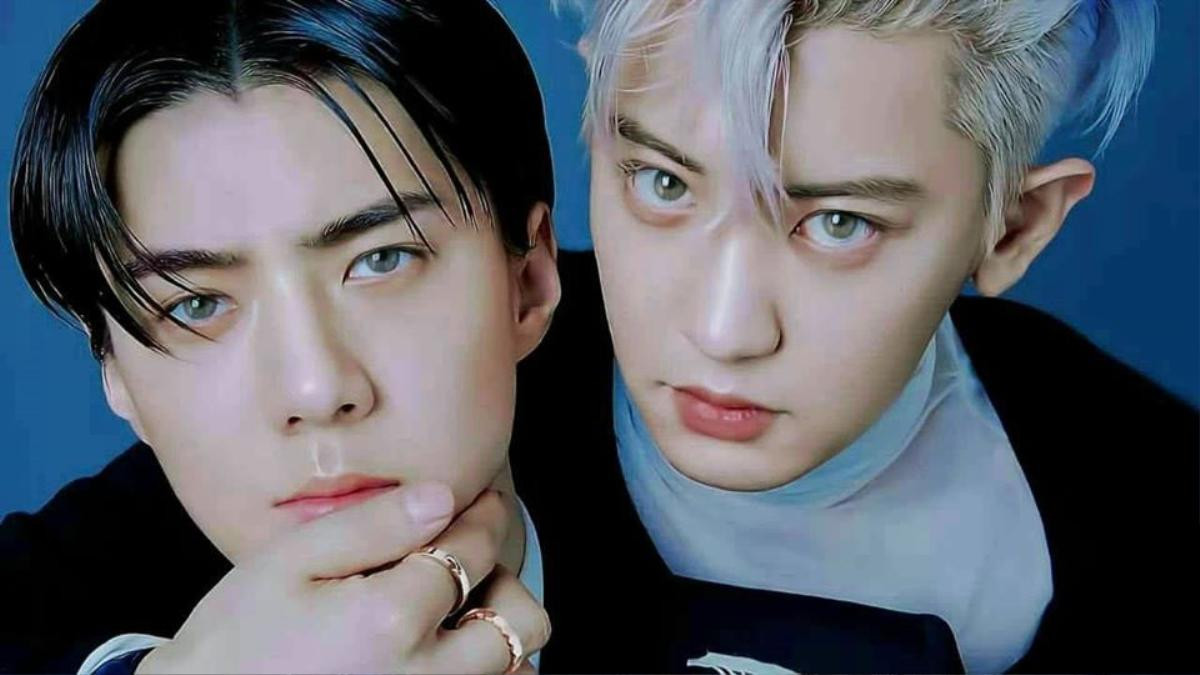 Chanyeol và Sehun sẽ phát hành album thứ hai vào đầu tháng Bảy, fans háo hức: 'Ngắm thôi cũng thấy đủ' Ảnh 1