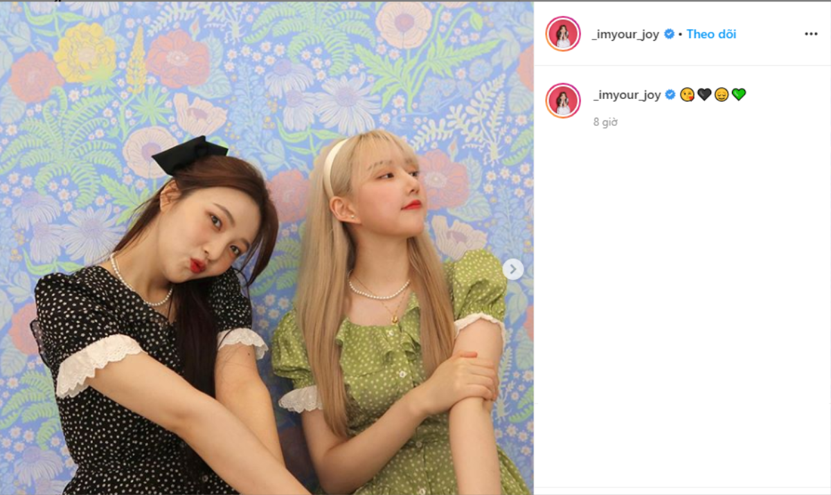 Joy (Red Velvet) lộ 'lovestagram' nhưng được Knet ủng hộ hết mình vì 'cặp kè' với… Ảnh 1