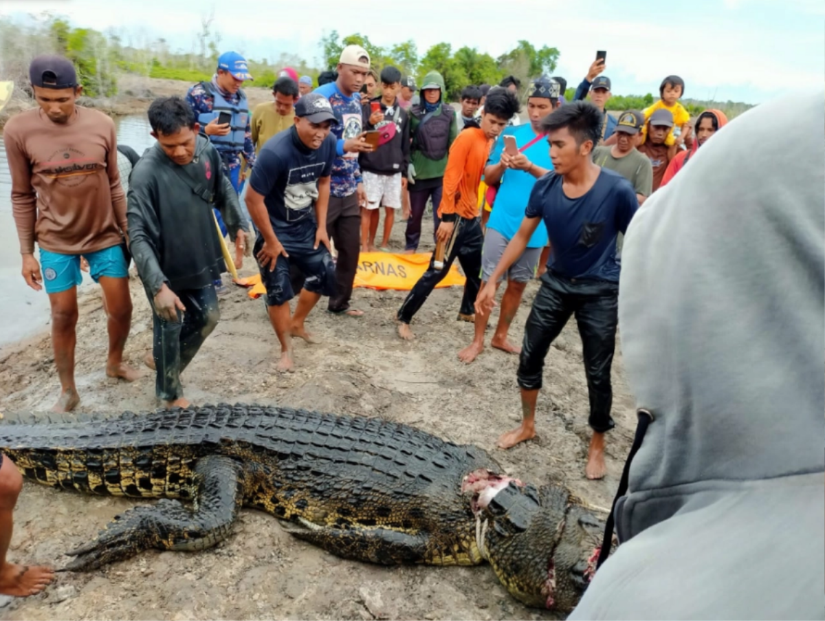 Mổ bụng cá sấu dài 6m, người dân kinh hãi với thứ bên trong Ảnh 1