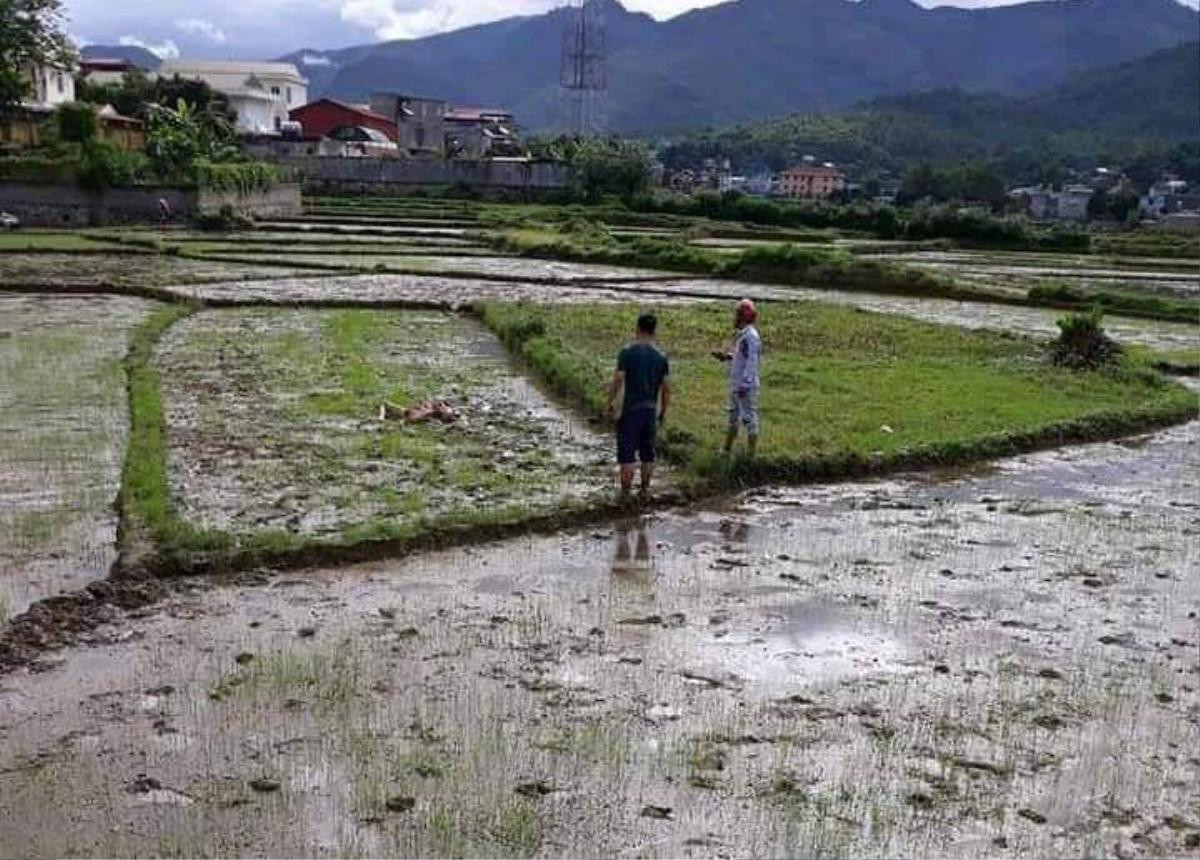 Hai người đàn ông cùng một phụ nữ tử vong với nhiều vết thương ở Điện Biên Ảnh 1