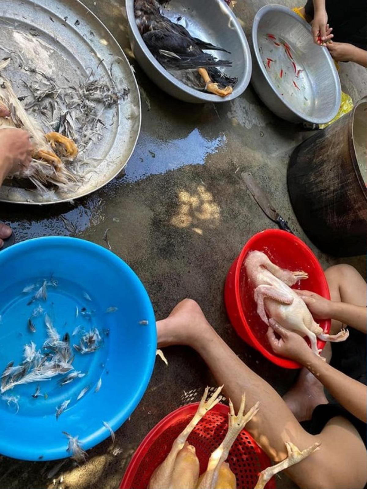 Đảm đang như Phan Mạnh Quỳnh: Về quê bạn gái vào bếp đun nước, làm gà khiến dân tình ngưỡng mộ Ảnh 3