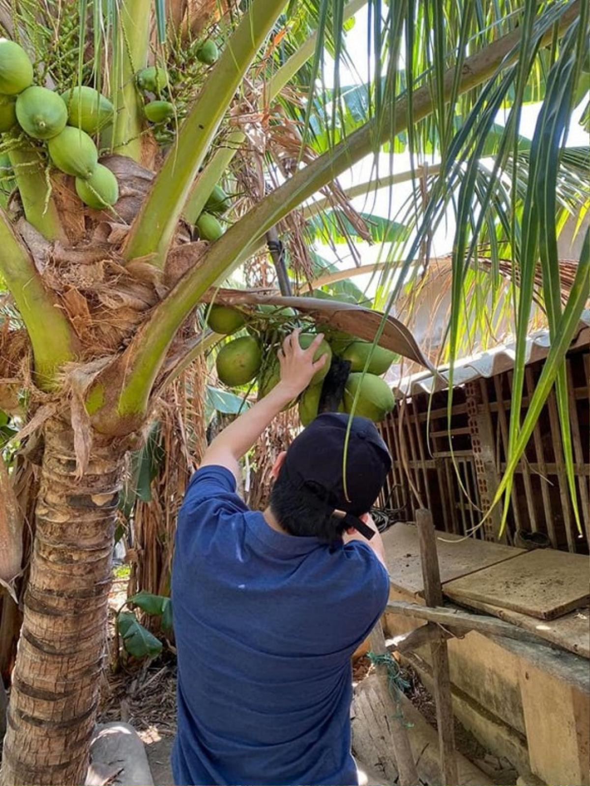 Đảm đang như Phan Mạnh Quỳnh: Về quê bạn gái vào bếp đun nước, làm gà khiến dân tình ngưỡng mộ Ảnh 4