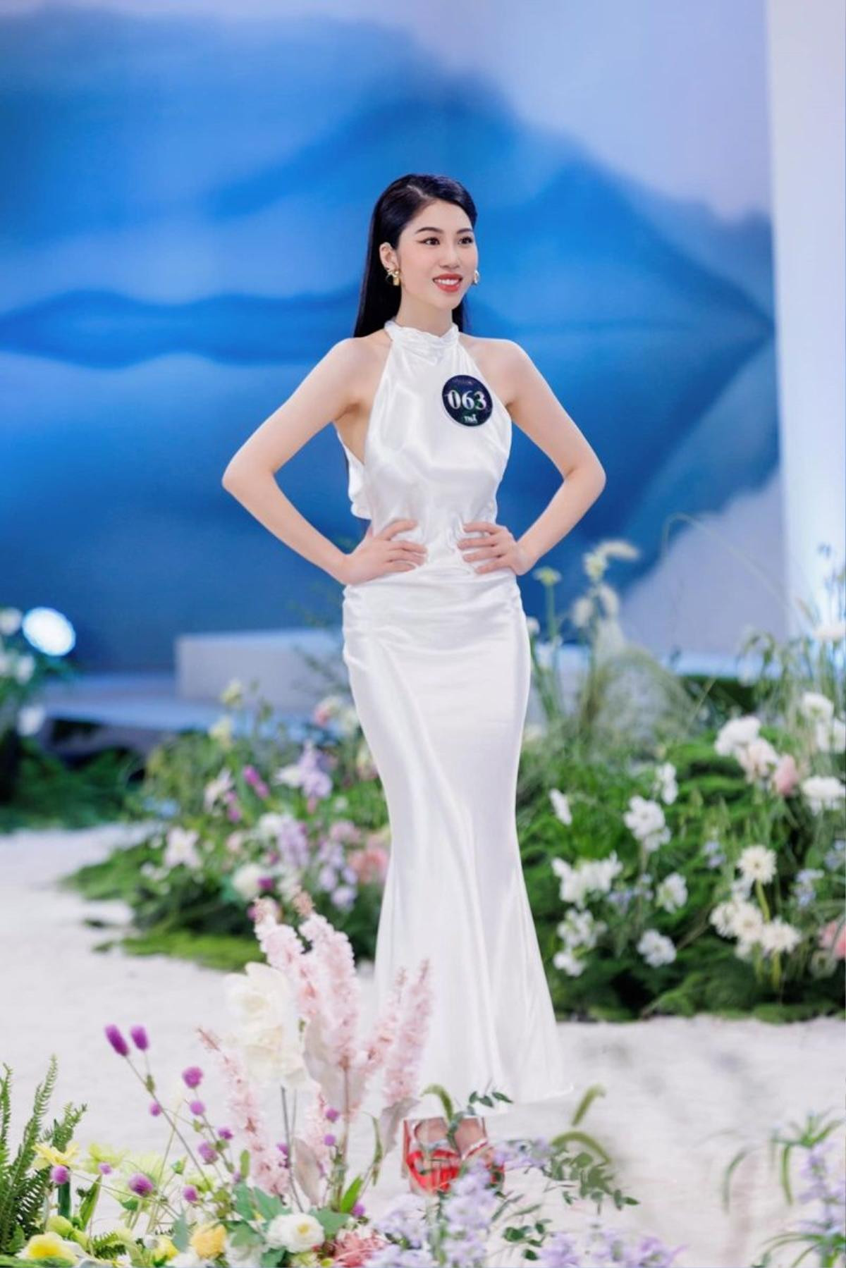 Học vấn của Tân Miss Earth Vietnam 2023? Ảnh 3