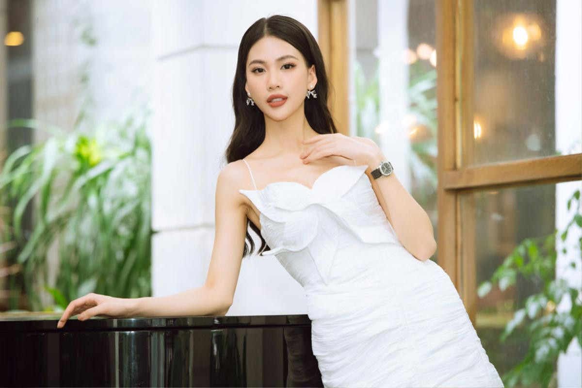 Bùi Quỳnh Hoa mặc 'đạp sóng gió' đến Miss Universe 2023 liệu có ổn? Ảnh 1