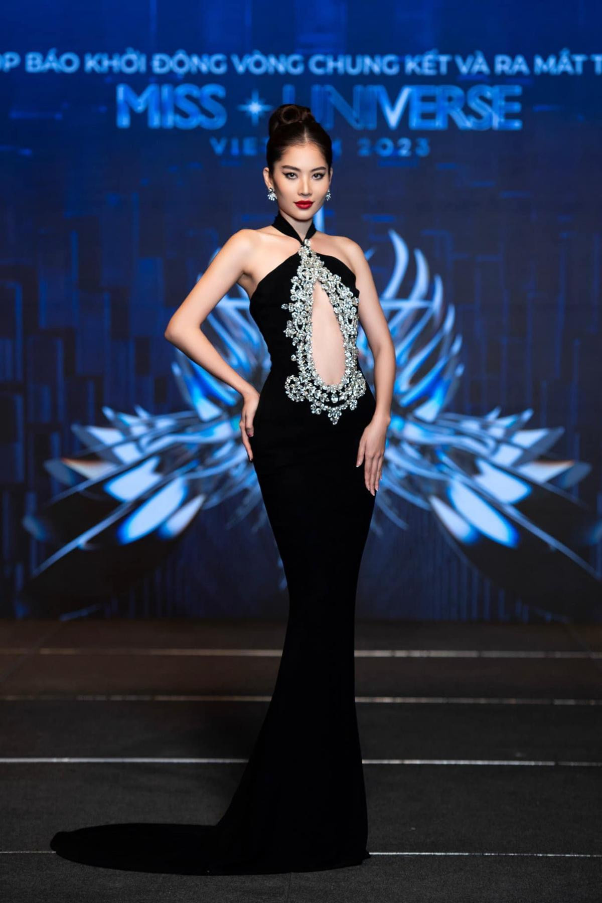 Lệ Nam bất lực với chính mình tại Miss Universe Vietnam 2023 Ảnh 1