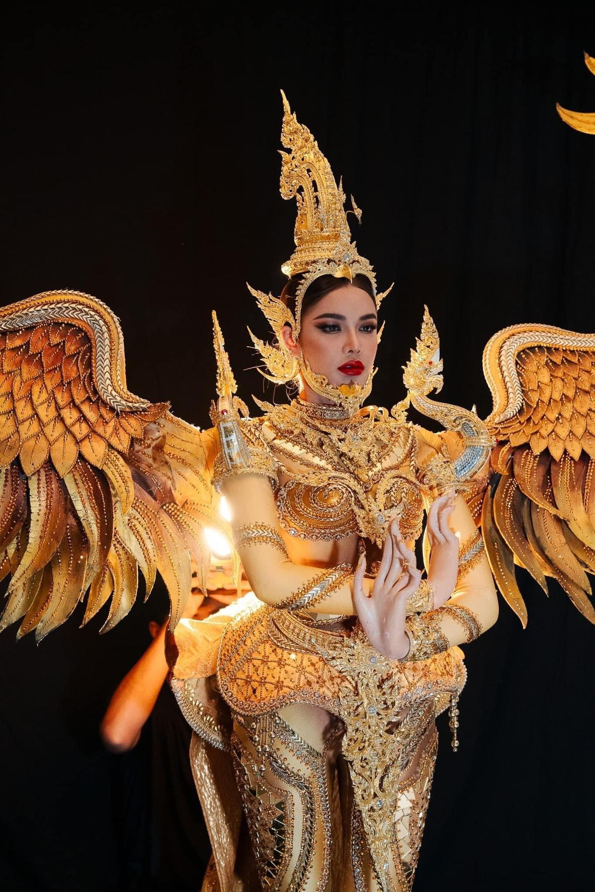 Nhiều thiết kế 'National Costume' MGI 2023 lộ diện trước giờ G Ảnh 5