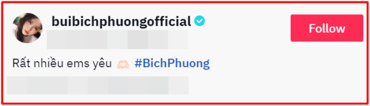 Bích Phương công khai người đặc biệt, có ảnh hưởng đến sự nghiệp ca hát Ảnh 2