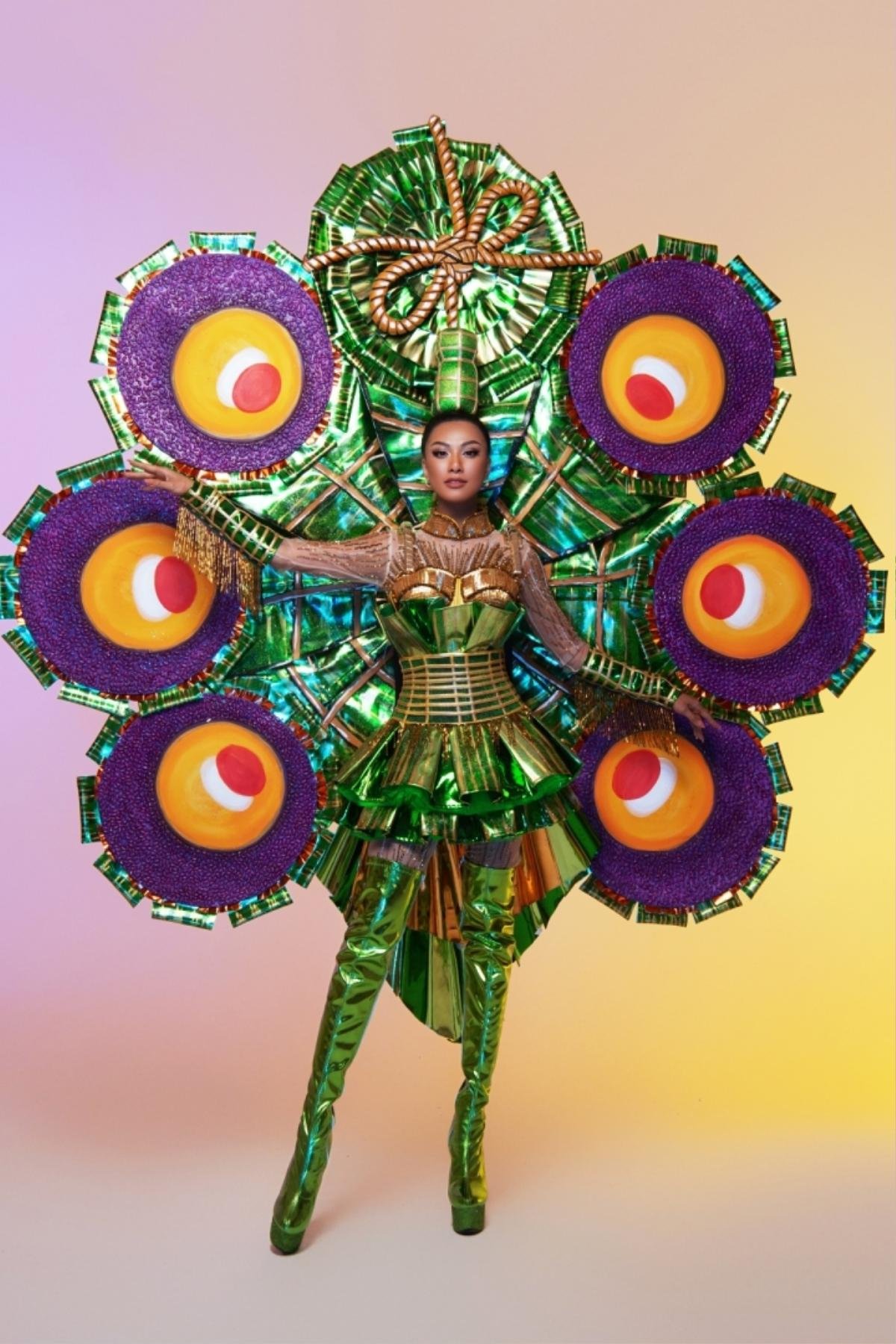 National Costume của Việt Nam tại Miss Universe: Ai ấn tượng nhất? Ảnh 4