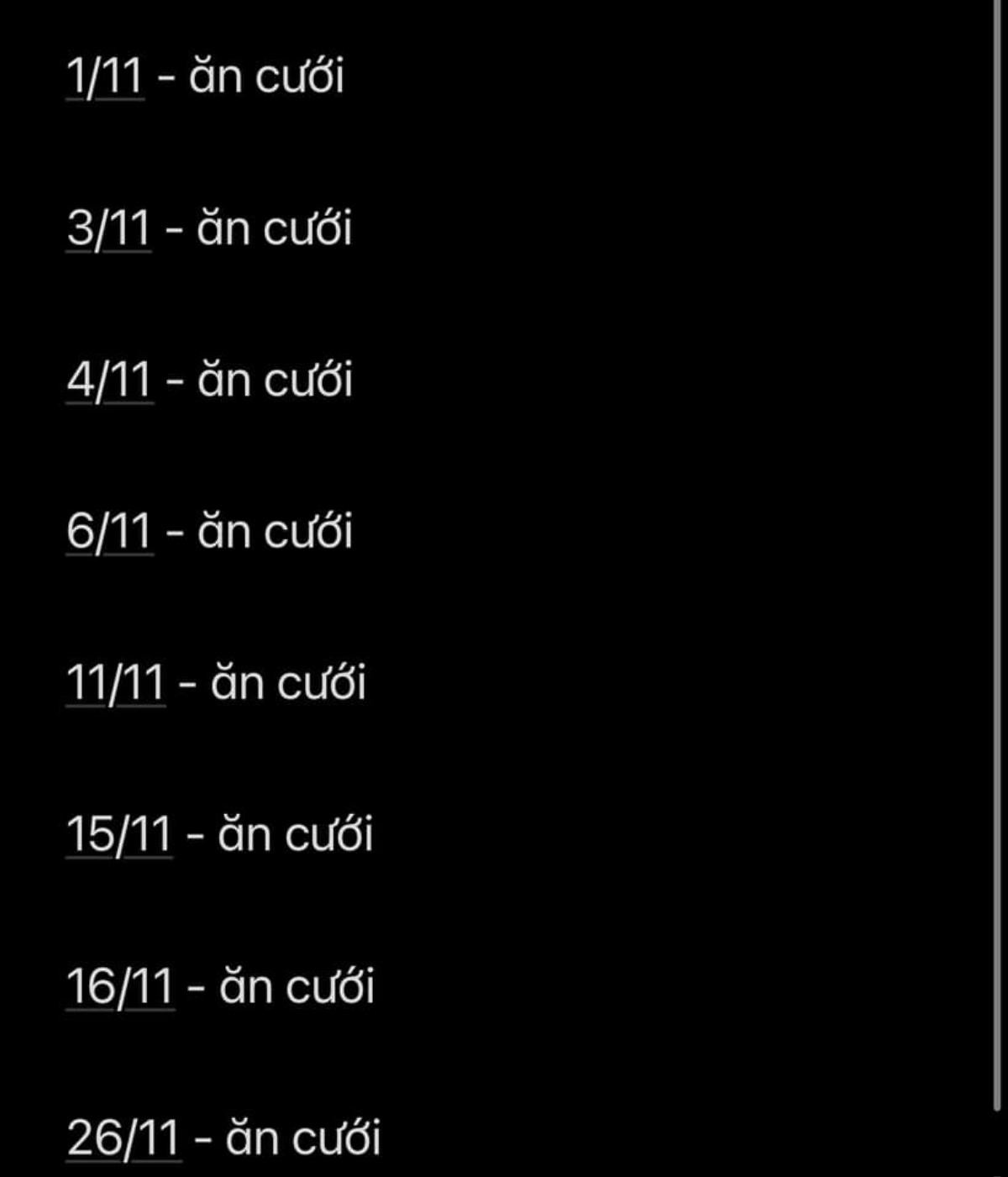Có thể là hình ảnh về văn bản cho biết '1/11 -ăn cưới 3/11- ăn ăn cưới 4/11- ăn cưới 6/11 -ăn cưới 11/11 ăn cưới 15/11 ăn cưới 16/11 ăn cưới 26/11 -ăn cưới'