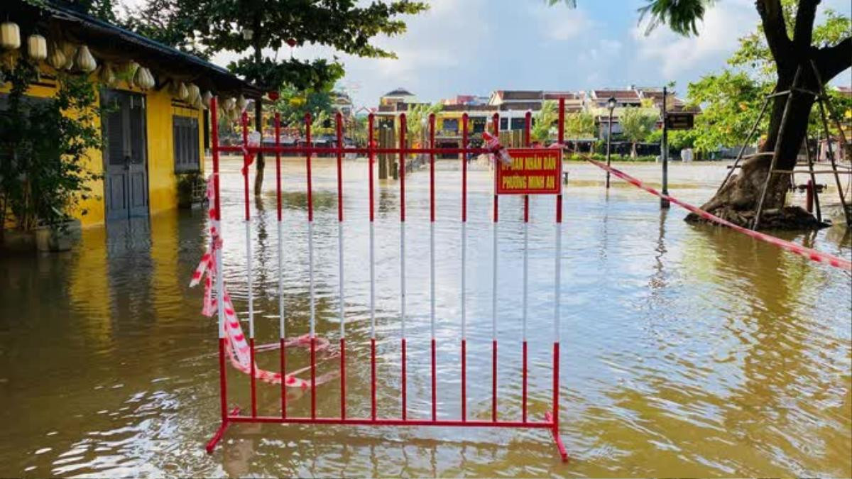 Hình ảnh Hội An chìm trong nước lũ, người dân chèo thuyền bè đi lại Ảnh 4