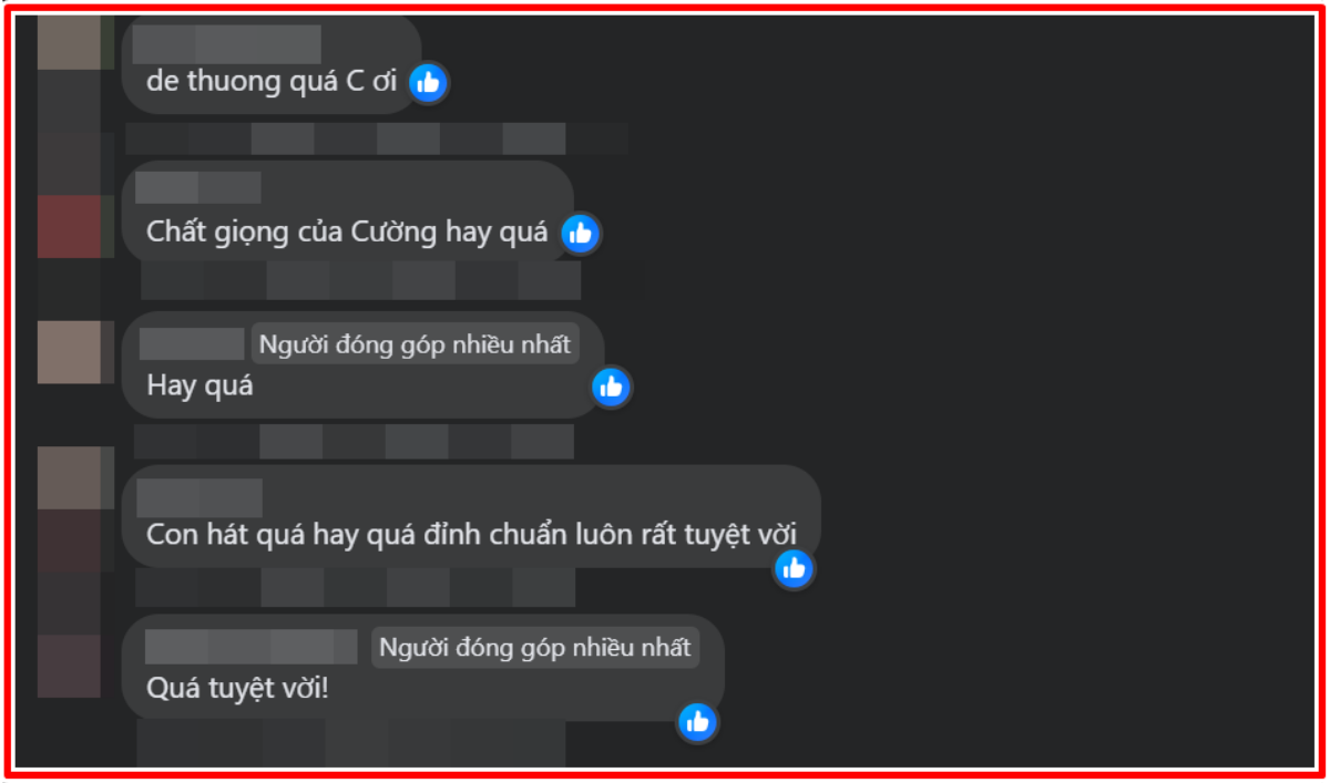 Hồ Văn Cường hát ca khúc chưa từng biểu diễn trên bất kỳ sân khấu nào, có chinh phục được khán giả? Ảnh 3