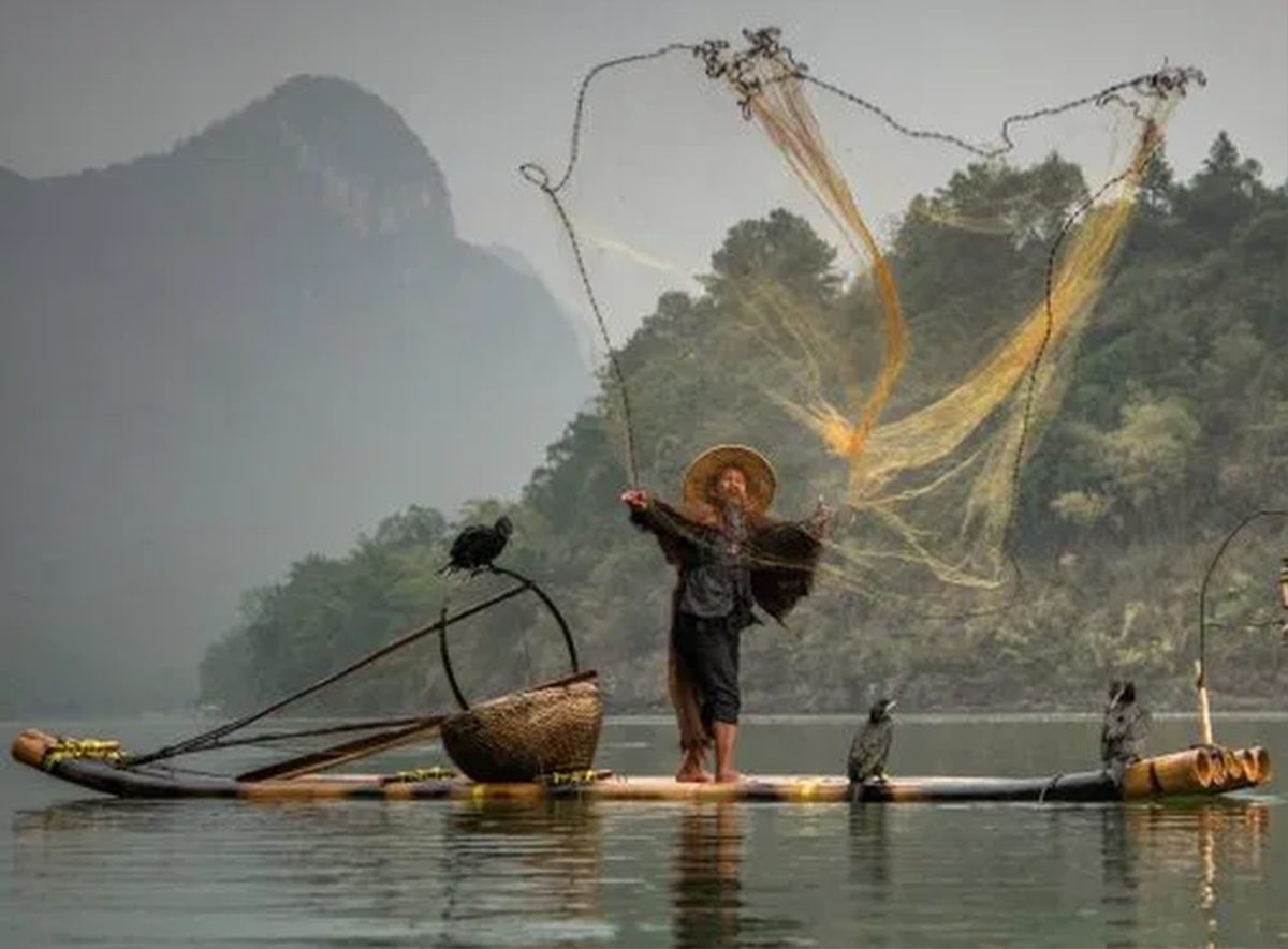 Đẹp ná thở bộ ảnh ngư dân Trung Quốc đánh cá bằng chim cốc Ảnh 3