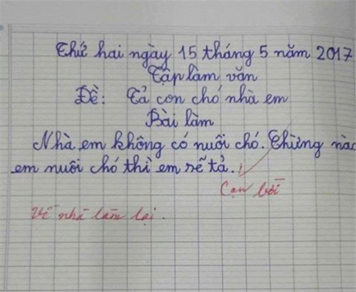 Bài văn vỏn vẹn 2 câu của HS tiểu học khiến cô giáo 'cạn lời', dân mạng lại tỏ ra thích thú Ảnh 1