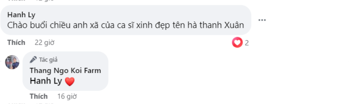 Được gọi là 'anh xã của Hà Thanh Xuân', vua cá Koi Thắng Ngô tỏ rõ thái độ Ảnh 4