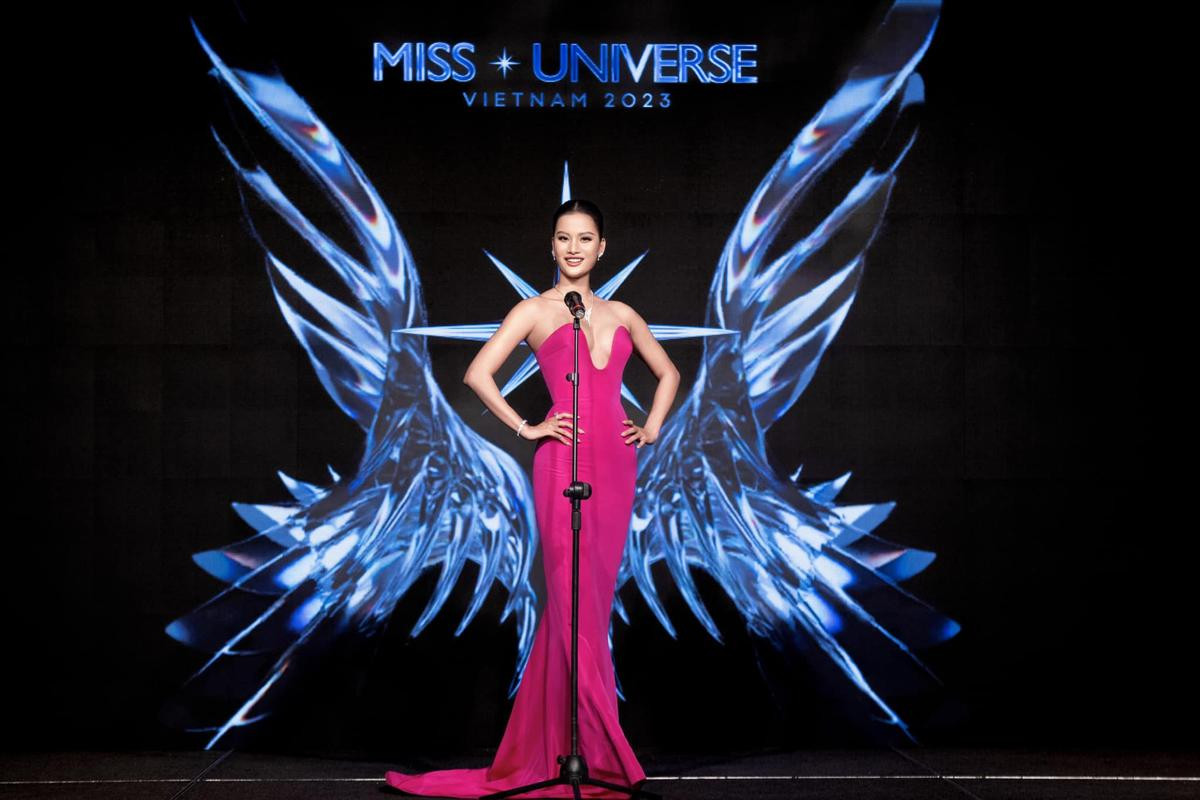 Mất suất Miss Universe - Miss Supranational, Hương Ly phải ngâm giấm thật sao? Ảnh 1