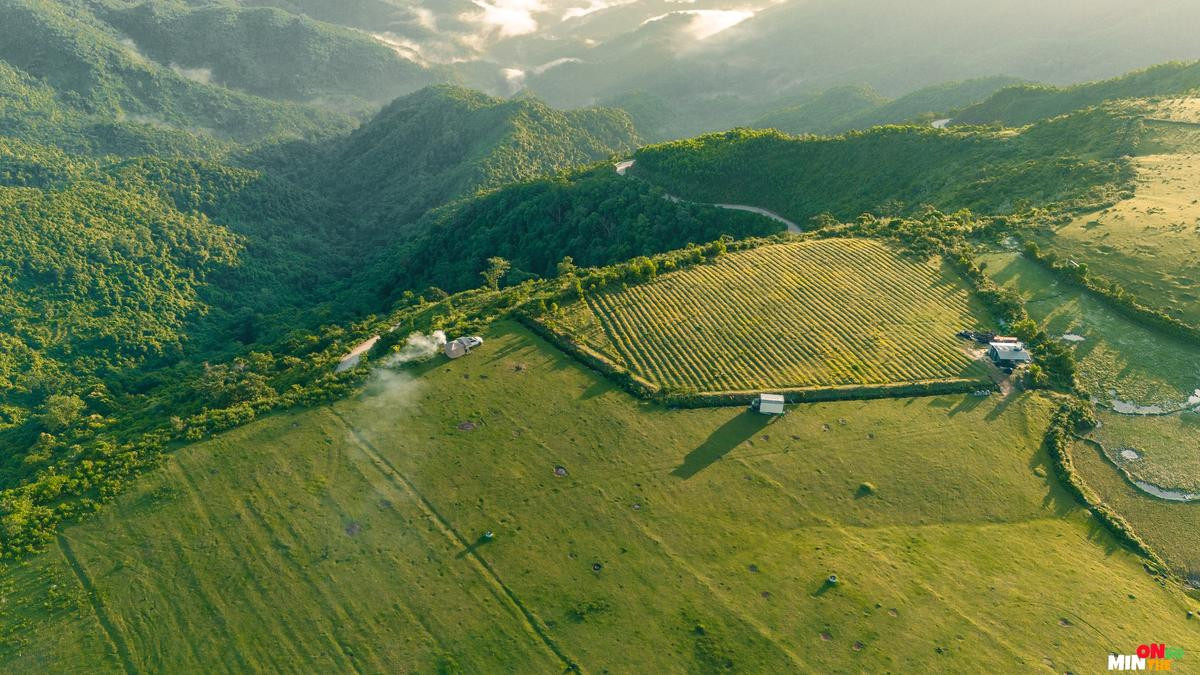 Khám phá thảo nguyên 'trên mây' ở Quảng Ngãi: 'View triệu đô' chẳng kém Tà Xùa Ảnh 3