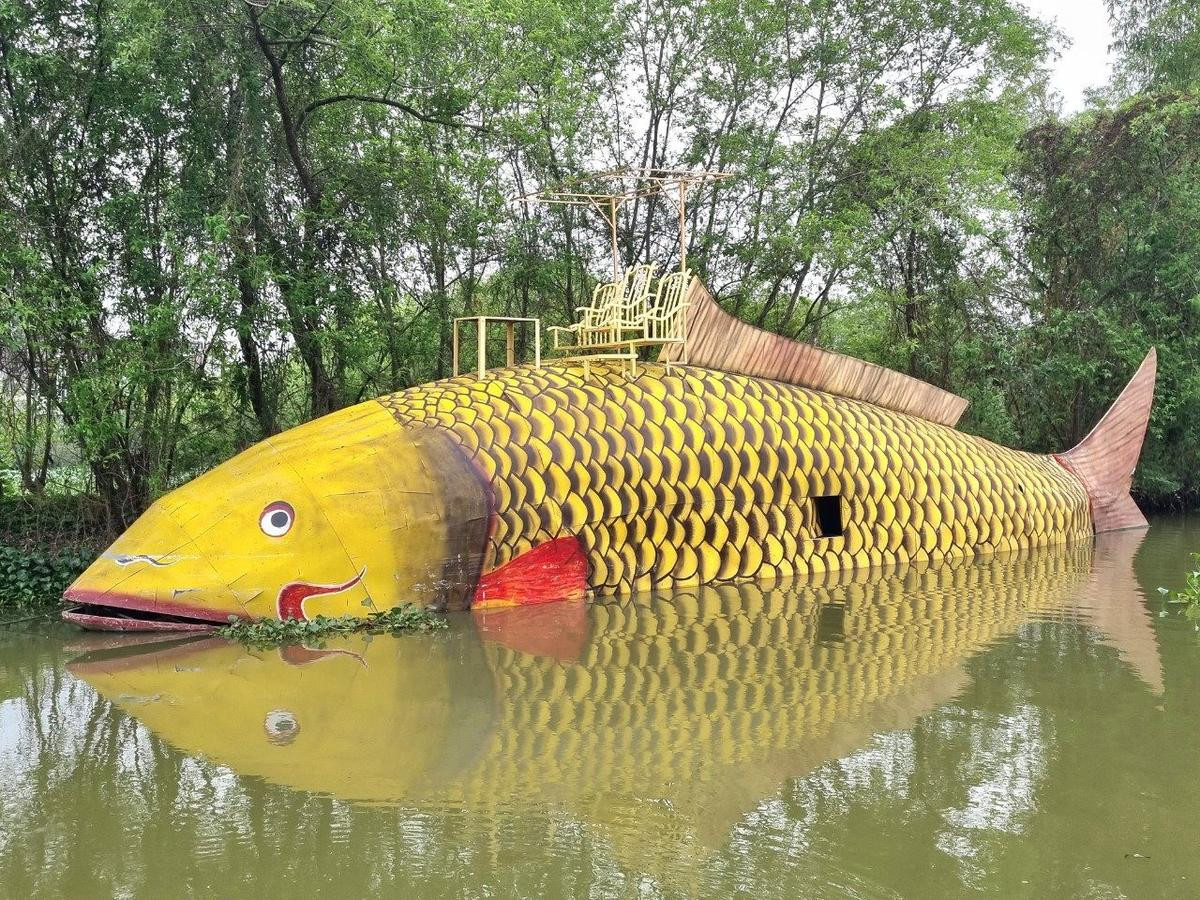 Ninh Bình: Cá chép vàng 'khổng lồ' nặng gần 1.000 kg xuất hiện trên sông Hoàng Long Ảnh 2