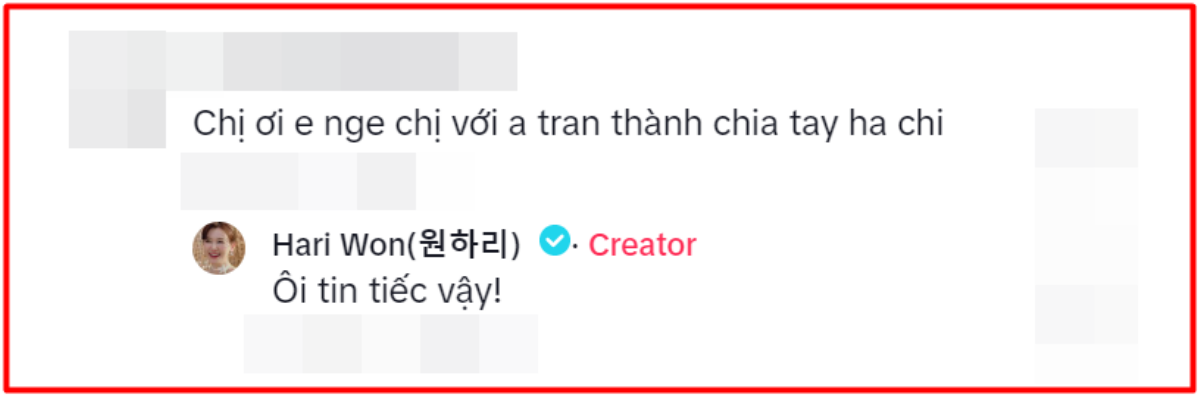 Hậu nghi vấn rạn nứt hôn nhân, Hari Won 'đáp trả' ra sao khi bị tung tin đã chia tay với Trấn Thành? Ảnh 2