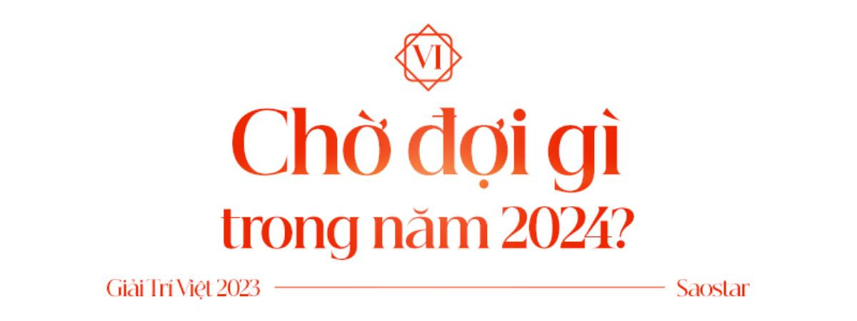 Bức tranh toàn cảnh làng giải trí Việt 2023 Ảnh 19