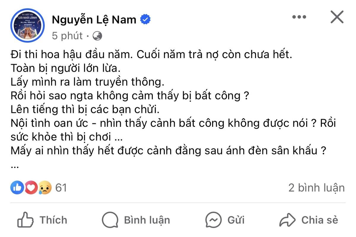 Ngày cuối năm, Lệ Nam ẩn ý chuyện 'thiếu nợ, bị người lớn lừa' Ảnh 2