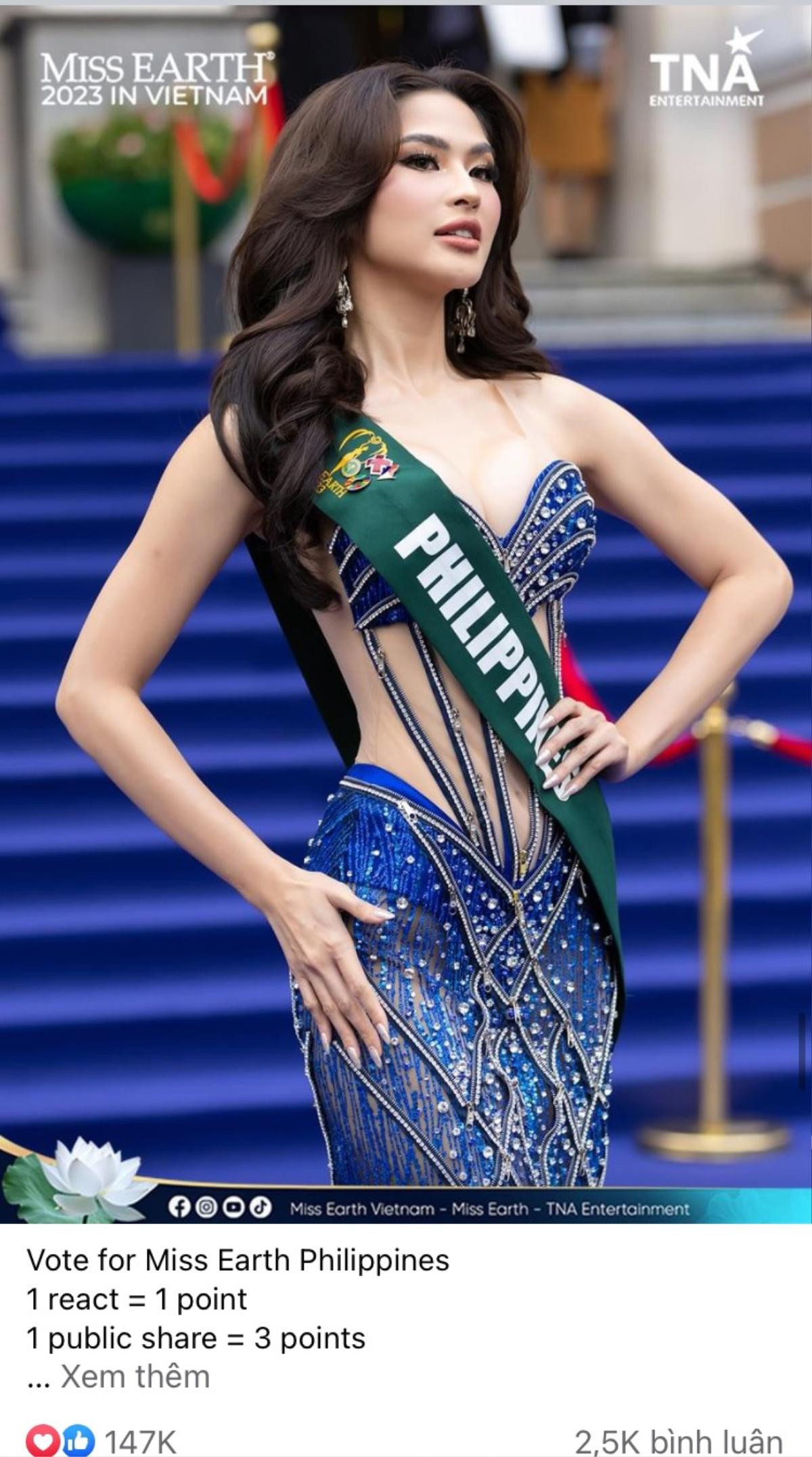 Miss Earth mở bình chọn chặng đầu tiên, đại diện Việt Nam đang ở vị trí nào? Ảnh 2