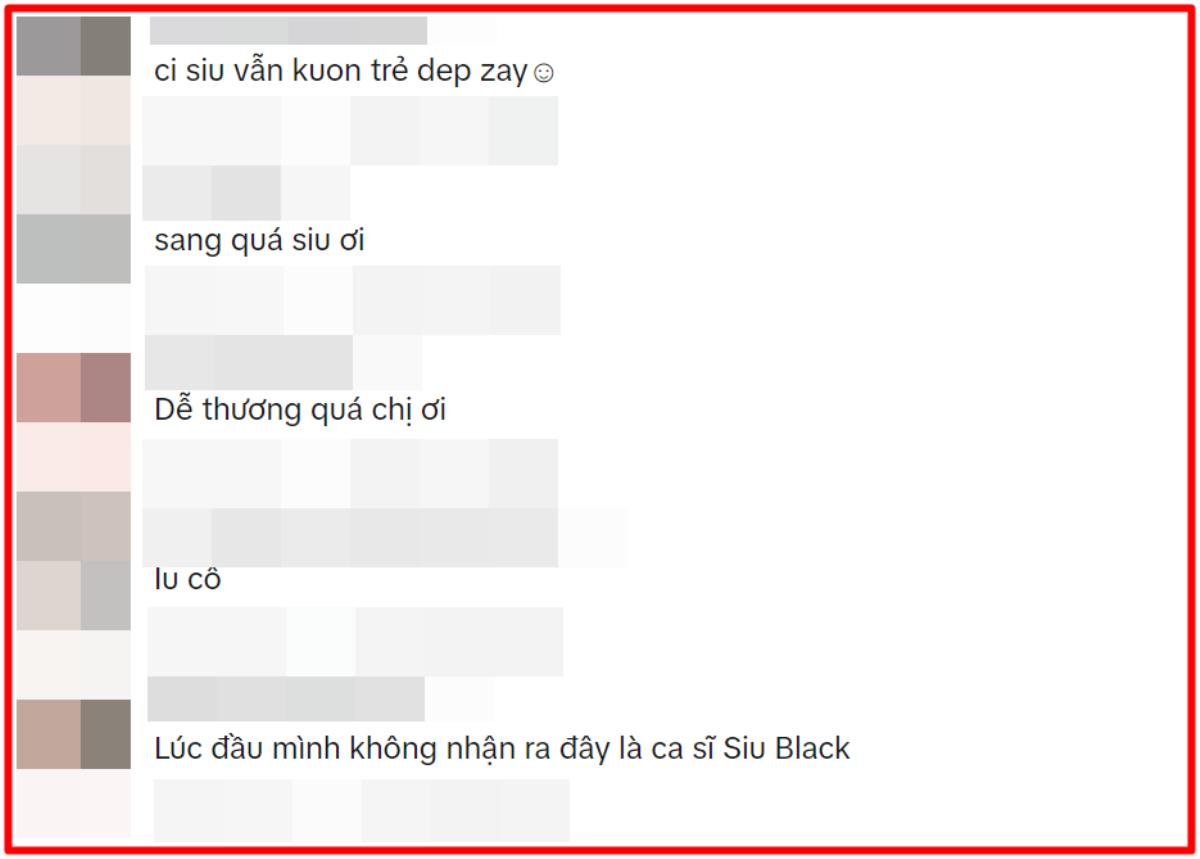 Siu Black hiếm hoi đu trend TikTok, dân mạng: 'Ai xúi cô làm như vậy'! Ảnh 3