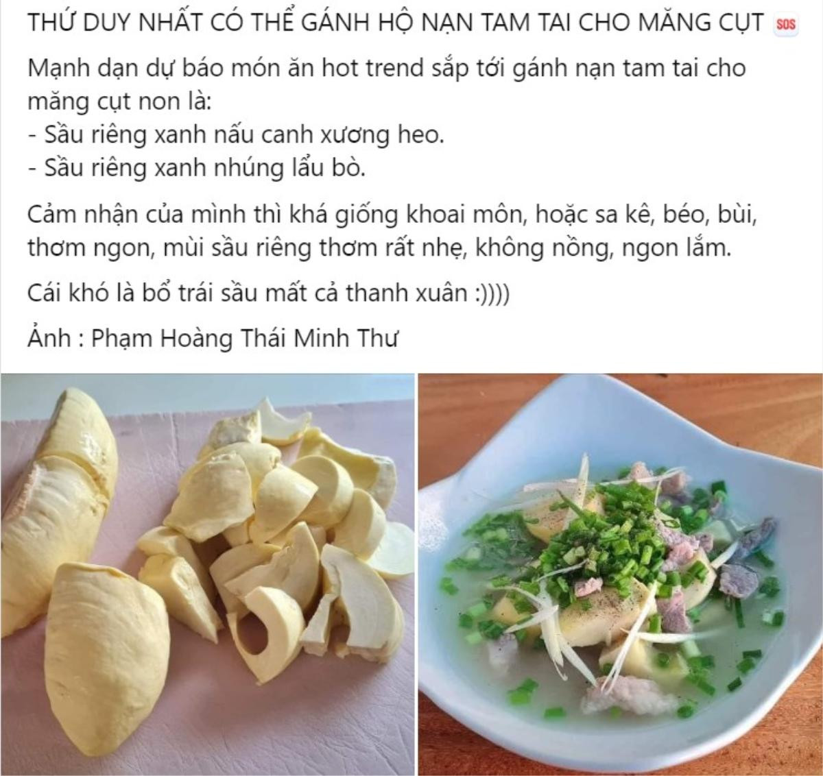 Dân mạng đã tìm ra thứ sản vật có thể gánh 'tam tai' cho măng cụt Ảnh 2