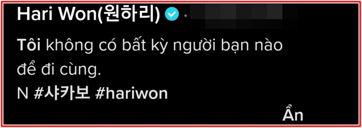 Hari Won gây xôn xao khi ẩn ý chuyện 'cô đơn' giữa nghi vấn trục trặc hôn nhân với Trấn Thành Ảnh 2