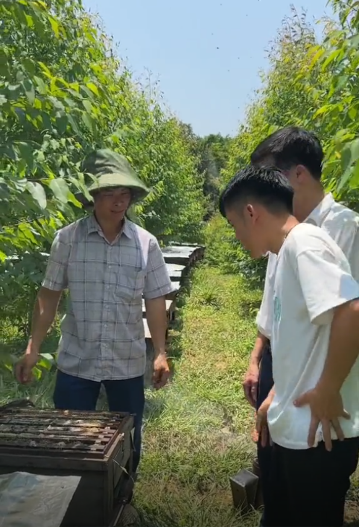 Con trai bà Tân Vlog khẳng định bán mật ong hoa vải chính hiệu nhưng cho thăm vườn ong hoa keo Ảnh 3